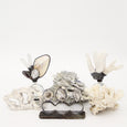 Selenite Quarts Shell Geode Bottle
