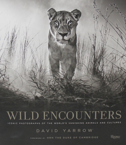 David Yarrow: Wild Encounters