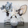 Selenite Quarts Shell Geode Bottle