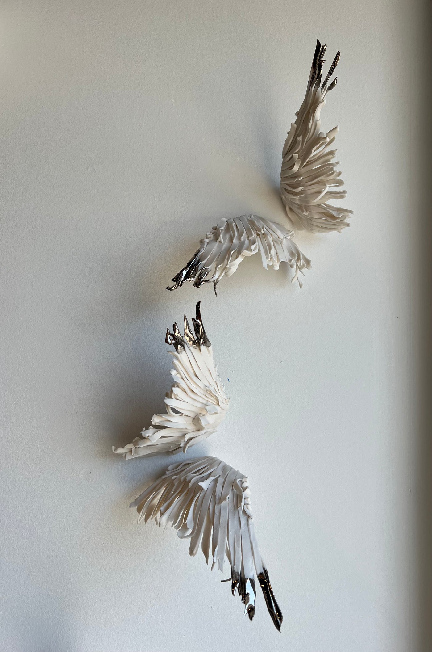 Porcelain Wings Dipped in Platinum: Medium