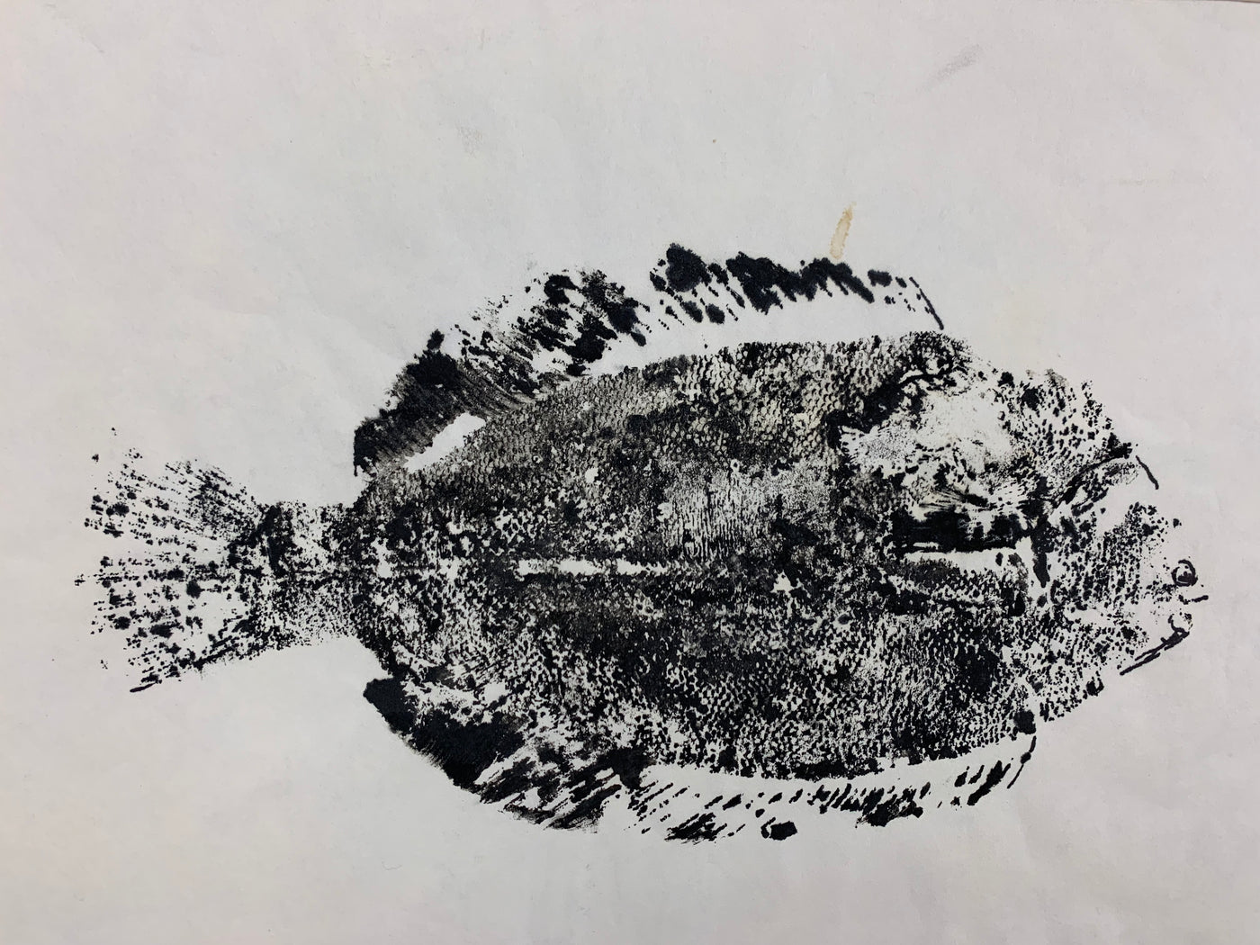 Fish Print