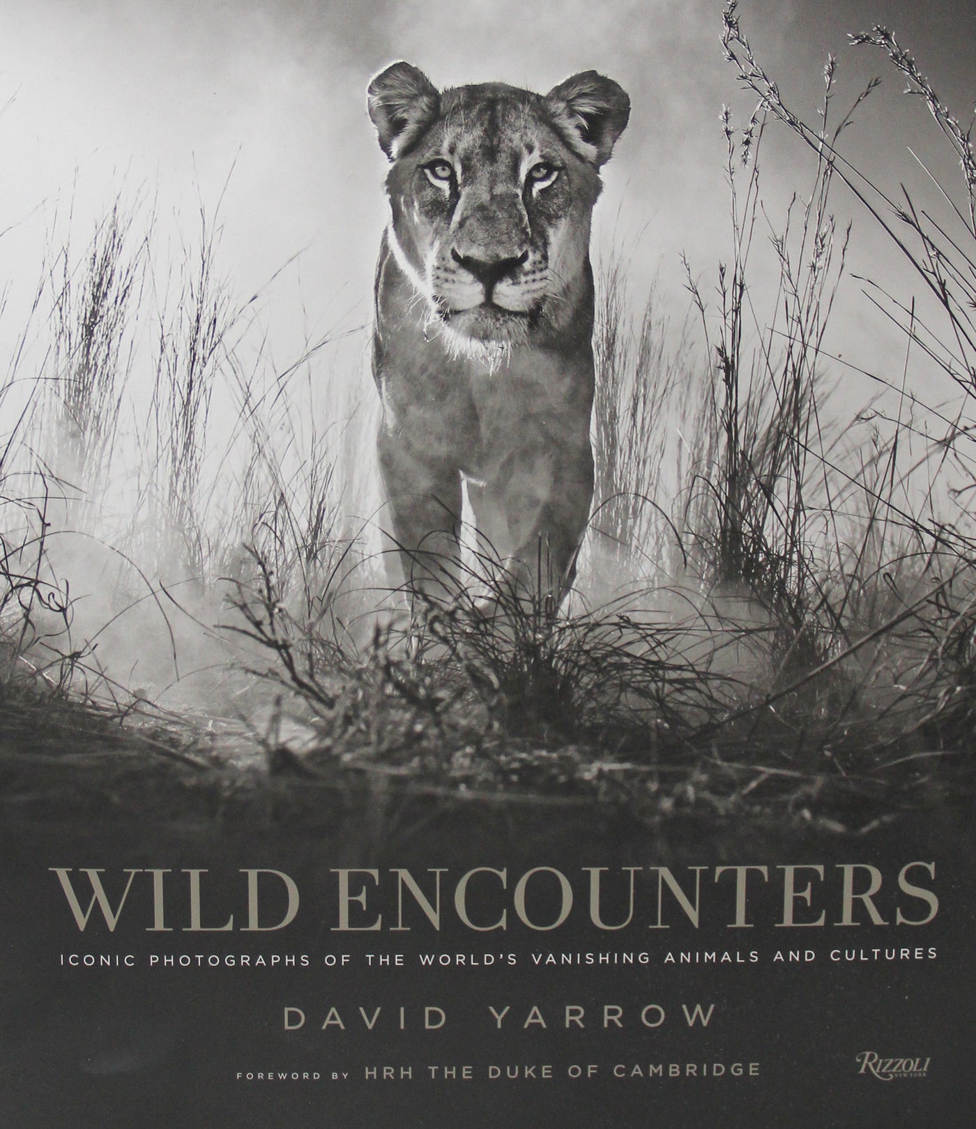 David Yarrow: Wild Encounters
