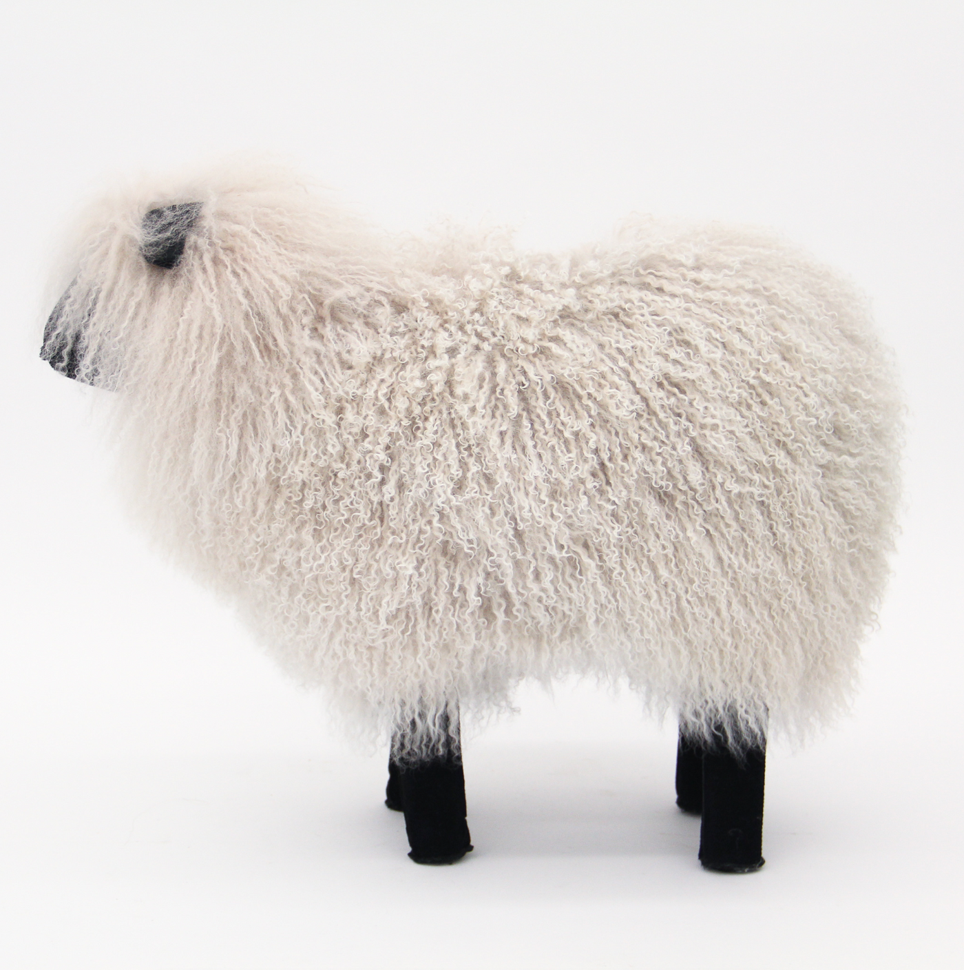 Mongolian Fur Sheep