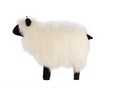 Mongolian Fur Sheep